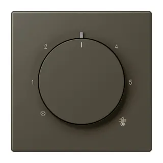 Jung Abdeckung für Raumtemperaturregler-Einsätze, Thermoplast lackiert, Serie LS, ombre naturelle 31 LC1749BF241