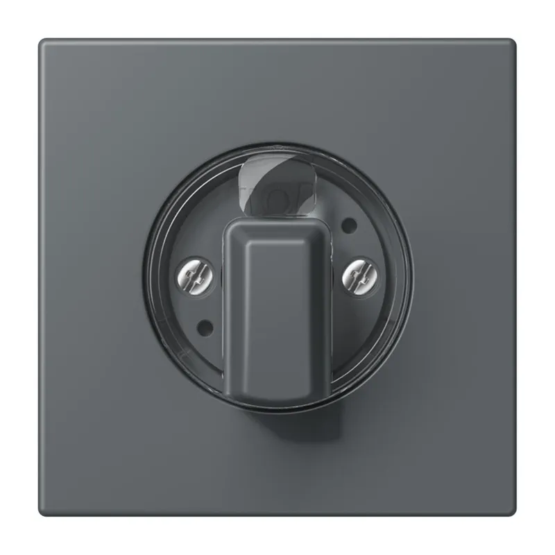 Jung Abdeckung für Drehschalter, Serie LS, gris foncé 31 LC1941202