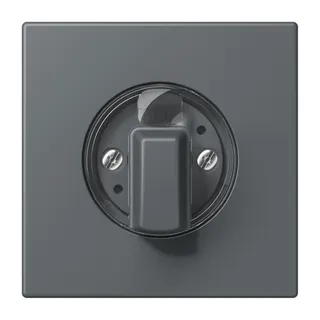 Jung Abdeckung für Drehschalter, Serie LS, gris foncé 31 LC1941202