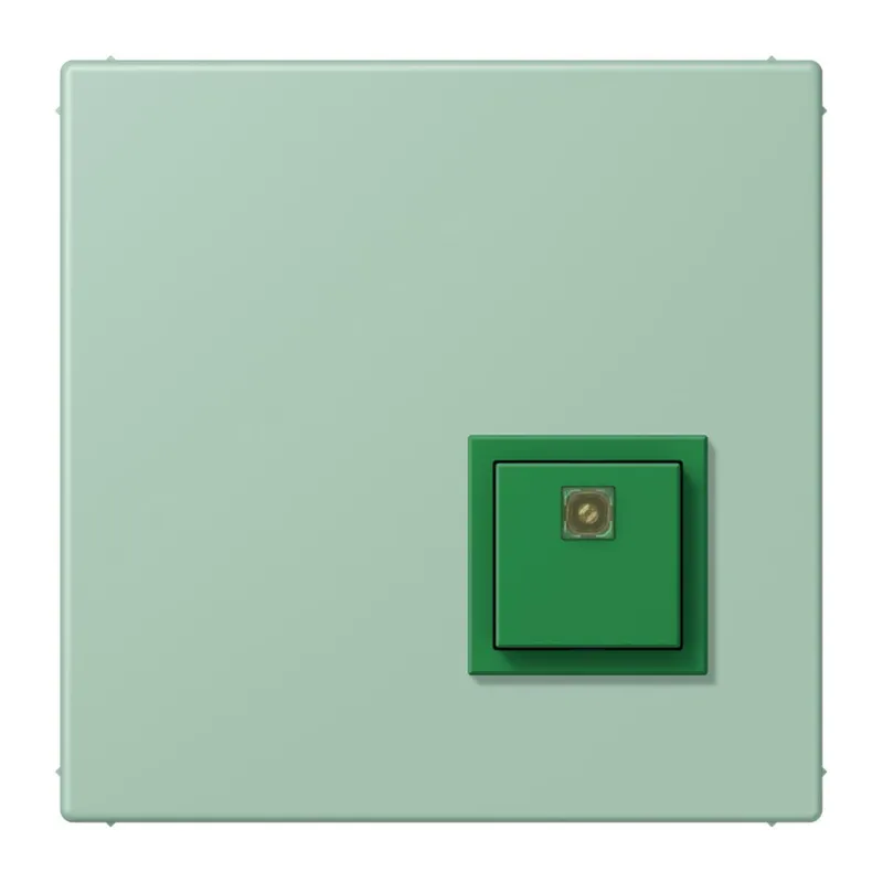 Jung Notrufsystem Abstelltaster, Serie LS, vert anglais clair NRSLC0834AT217