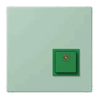 Jung Notrufsystem Abstelltaster, Serie LS, vert anglais clair NRSLC0834AT217