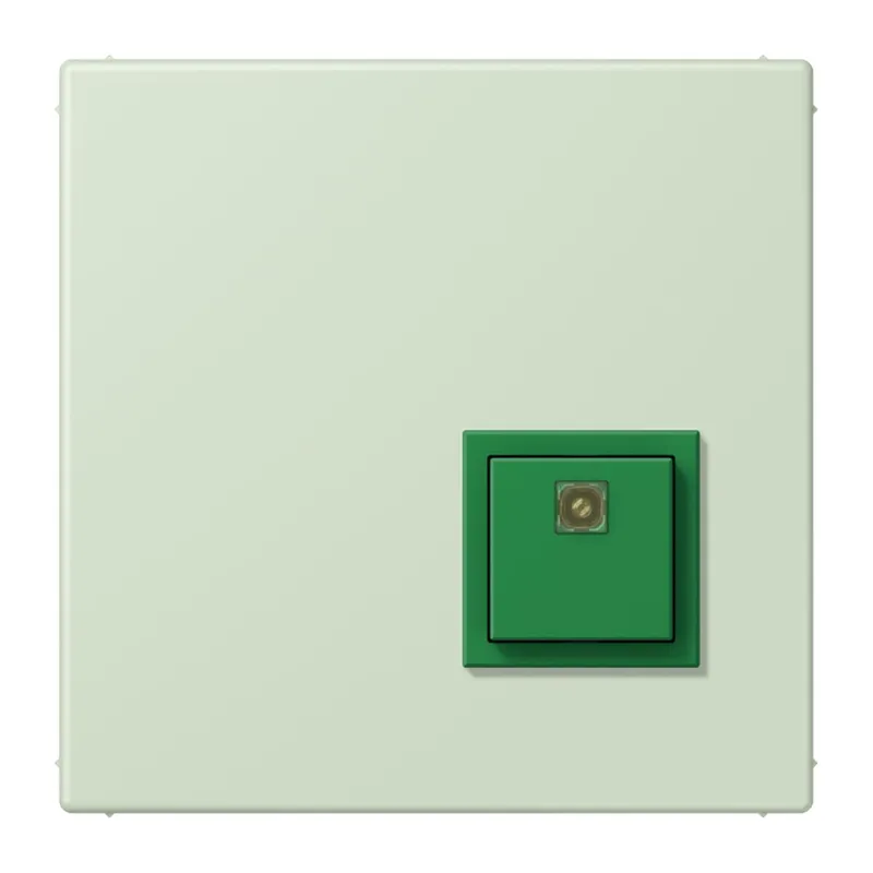 Jung Notrufsystem Abstelltaster, Serie LS, vert anglâis pale NRSLC0834AT218