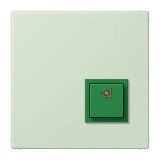 Jung Notrufsystem Abstelltaster, Serie LS, vert anglâis pale NRSLC0834AT218