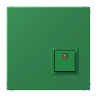 Jung Notrufsystem Abstelltaster, Serie LS, vert foncé NRSLC0834AT219