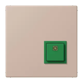 Jung Notrufsystem Abstelltaster, Serie LS, ombre br?lée claire NRSLC0834AT240