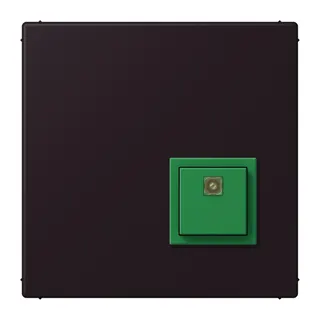 Jung Notrufsystem Abstelltaster, Serie LS, noir d'ivoire NRSLC0834AT248