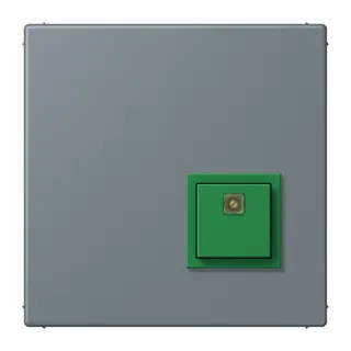 Jung Notrufsystem Abstelltaster, Serie LS, gris 59 NRSLC0834AT251