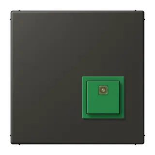 Jung Notrufsystem Abstelltaster, Serie LS, ombre naturelle 59 NRSLC0834AT259