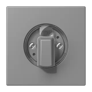 Jung Abdeckung für Drehschalter, Serie LS, gris 31 LC1941203