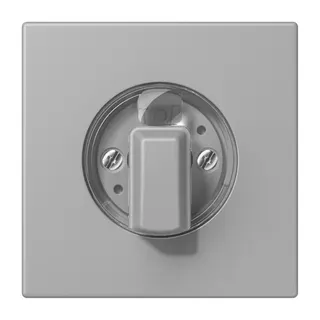 Jung Abdeckung für Drehschalter, Serie LS, gris moyen LC1941204