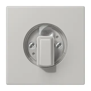 Jung Abdeckung für Drehschalter, Serie LS, gris clair 31 LC1941205