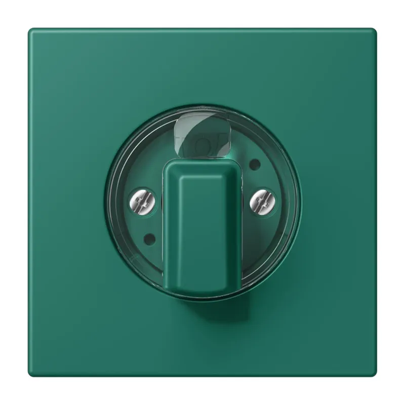 Jung Abdeckung für Drehschalter, Serie LS, vert anglais LC1941216
