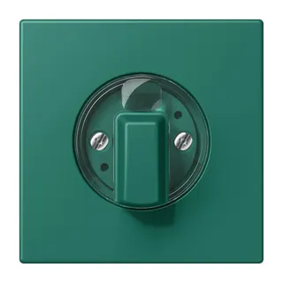 Jung Abdeckung für Drehschalter, Serie LS, vert anglais LC1941216
