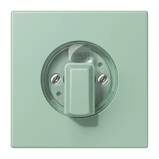 Jung Abdeckung für Drehschalter, Serie LS, vert anglais clair LC1941217