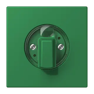 Jung Abdeckung für Drehschalter, Serie LS, vert foncé LC1941219
