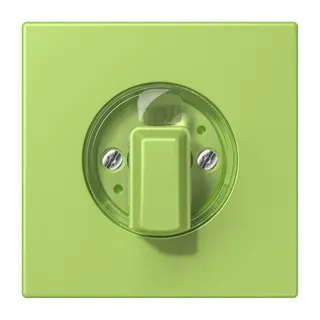 Jung Abdeckung für Drehschalter, Serie LS, vert clair LC1941221