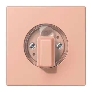Jung Abdeckung für Drehschalter, Serie LS, rose clair LC1941231