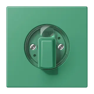 Jung Abdeckung für Drehschalter, Serie LS, vert 59 LC1941250