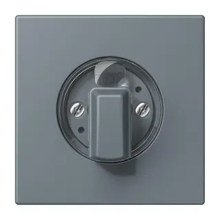Jung Abdeckung für Drehschalter, Serie LS, gris 59 LC1941251
