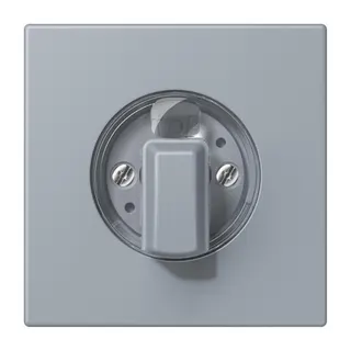 Jung Abdeckung für Drehschalter, Serie LS, gris clair 59 LC1941257