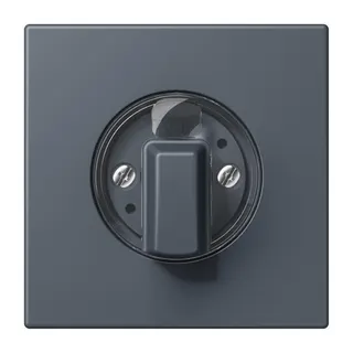 Jung Abdeckung für Drehschalter, Serie LS, gris fonce 59 LC1941262