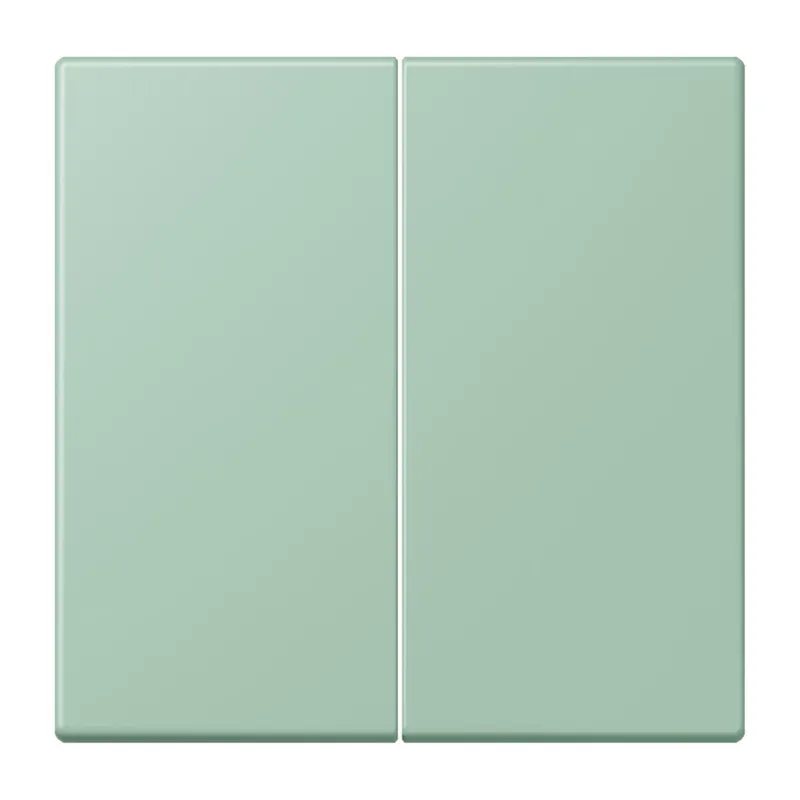 Jung Wippe 2fach, Serie LS, vert anglais clair LC995217