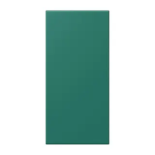 Jung Abdeckung in Tastenfarbe, F50, Serie LS, vert anglais LC50NA216