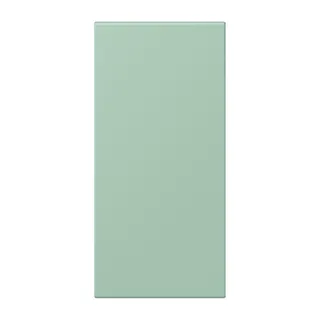 Jung Abdeckung in Tastenfarbe, F50, Serie LS, vert anglais clair LC50NA217