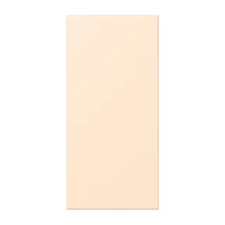 Jung Abdeckung in Tastenfarbe, F50, Serie LS, terre sienne pâle LC50NA238
