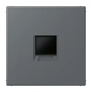 Jung Abdeckung (gerastet) für Modular-Jack-Steckbuchsen 1fach, Serie LS, gris foncé 31 LC1969-1WE202