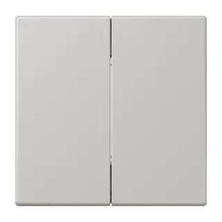 Jung Friends of Hue Funk-Wandsender Set 4-kanalig, Serie LS, gris clair 31 FOHLC995205