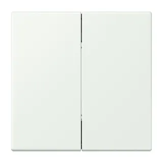 Jung Friends of Hue Funk-Wandsender Set 4-kanalig, Serie LS, outremer gris FOHLC995210