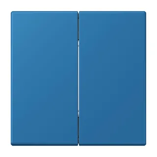 Jung Friends of Hue Funk-Wandsender Set 4-kanalig, Serie LS, bleu céruléen 31 FOHLC995211