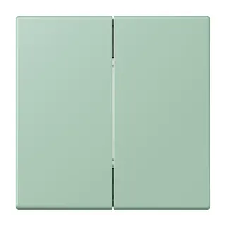 Jung Friends of Hue Funk-Wandsender Set 4-kanalig, Serie LS, vert anglais clair FOHLC995217