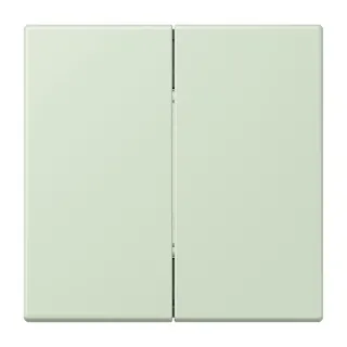 Jung Friends of Hue Funk-Wandsender Set 4-kanalig, Serie LS, vert anglâis pale FOHLC995218
