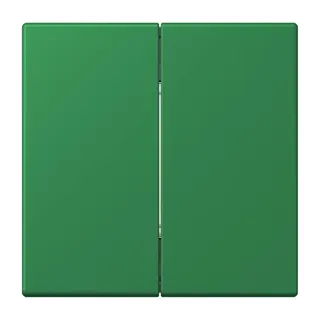 Jung Friends of Hue Funk-Wandsender Set 4-kanalig, Serie LS, vert foncé FOHLC995219