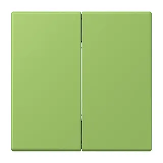 Jung Friends of Hue Funk-Wandsender Set 4-kanalig, Serie LS, vert 31 FOHLC995220
