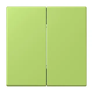 Jung Friends of Hue Funk-Wandsender Set 4-kanalig, Serie LS, vert clair FOHLC995221