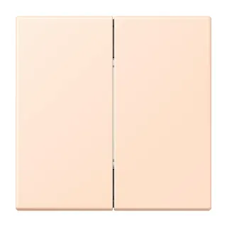 Jung Friends of Hue Funk-Wandsender Set 4-kanalig, Serie LS, rose pâle FOHLC995228