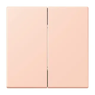 Jung Friends of Hue Funk-Wandsender Set 4-kanalig, Serie LS, l'ocre rouge clair FOHLC995234