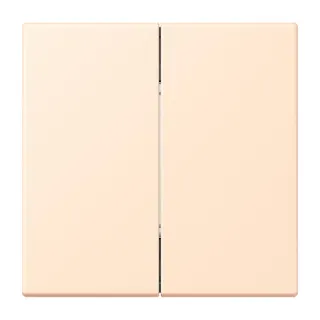 Jung Friends of Hue Funk-Wandsender Set 4-kanalig, Serie LS, terre sienne pâle FOHLC995238