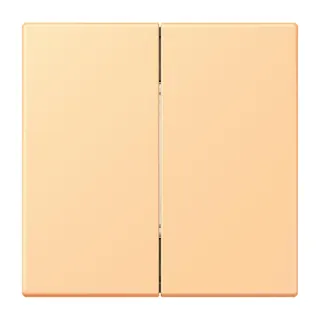 Jung Friends of Hue Funk-Wandsender Set 4-kanalig, Serie LS, terre sienne claire 59 FOHLC995258
