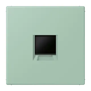 Jung Abdeckung (gerastet) für Modular-Jack-Steckbuchsen 1fach, Serie LS, vert anglais clair LC1969-1WE217