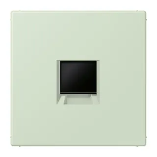 Jung Abdeckung (gerastet) für Modular-Jack-Steckbuchsen 1fach, Serie LS, vert anglâis pale LC1969-1WE218