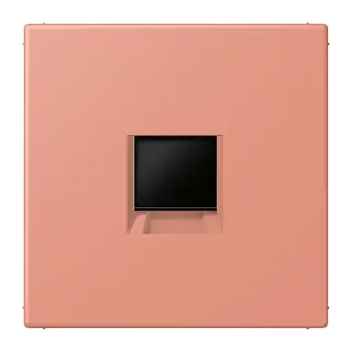 Jung Abdeckung (gerastet) für Modular-Jack-Steckbuchsen 1fach, Serie LS, l'ocre rouge moyen LC1969-1WE233