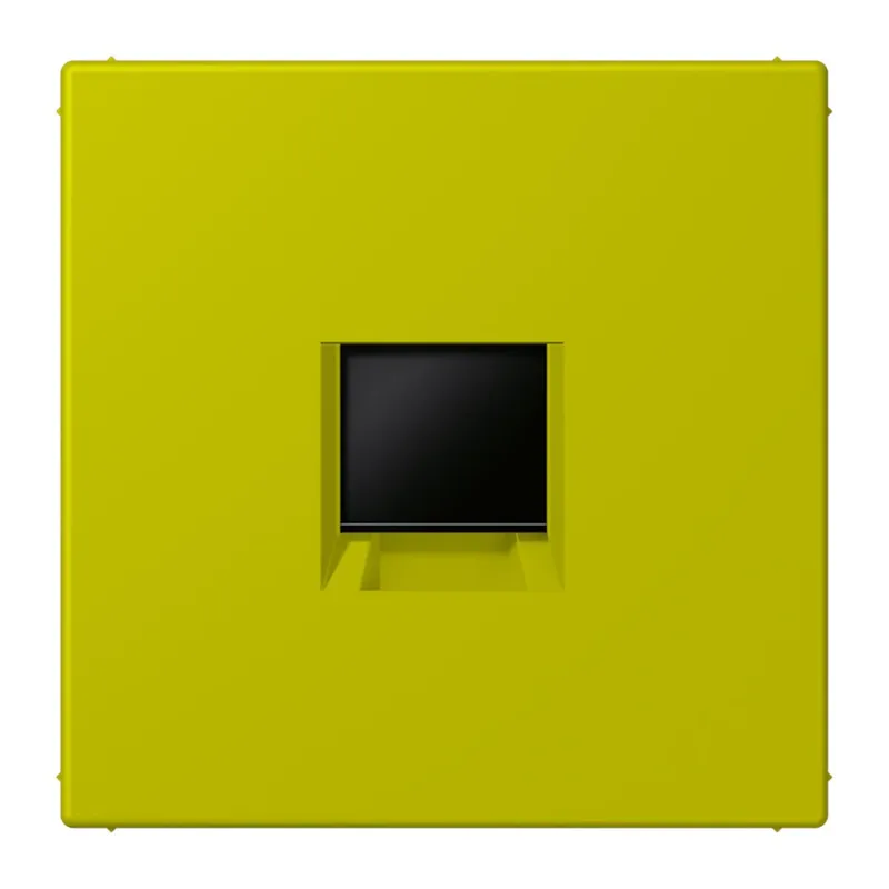 Jung Abdeckung (gerastet) für Modular-Jack-Steckbuchsen 1fach, Serie LS, vert olive vif LC1969-1WE249