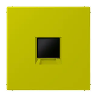 Jung Abdeckung (gerastet) für Modular-Jack-Steckbuchsen 1fach, Serie LS, vert olive vif LC1969-1WE249