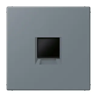 Jung Abdeckung (gerastet) für Modular-Jack-Steckbuchsen 1fach, Serie LS, gris 59 LC1969-1WE251
