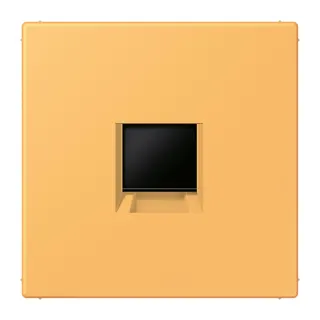 Jung Abdeckung (gerastet) für Modular-Jack-Steckbuchsen 1fach, Serie LS, ocre jaune clair LC1969-1WE254