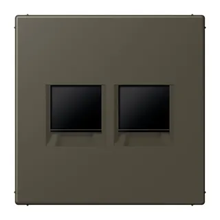 Jung Abdeckung (gerastet) für Modular-Jack-Steckbuchsen 2fach, Serie LS, ombre naturelle 31 LC1969-2WE241
